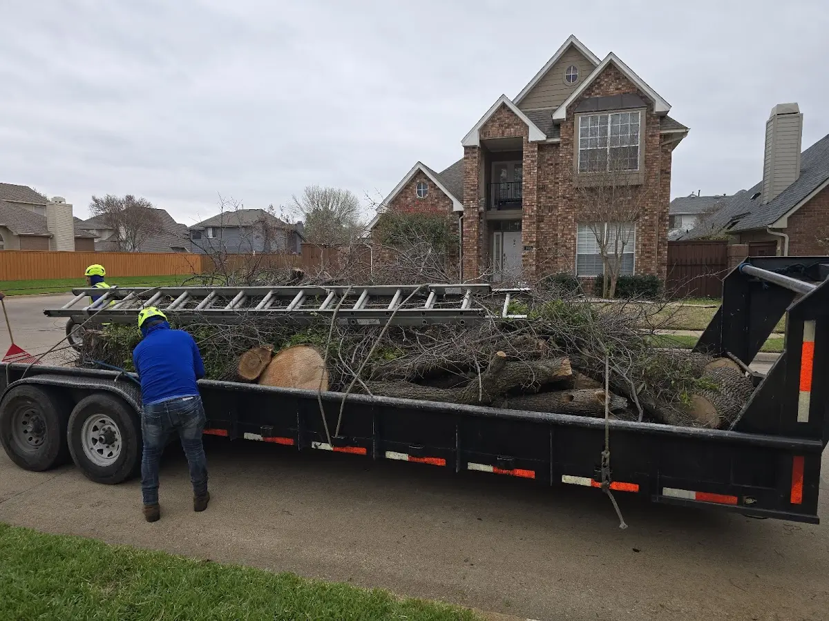 Expert Tree Pest Control with proper safety equipment in Dierks